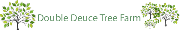 Double Deuce Tree Farm