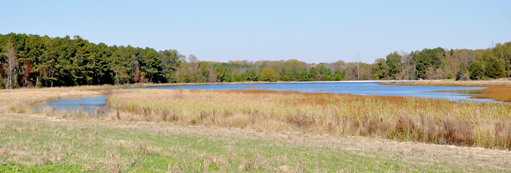 Double Deuce Tree Farm Ranch